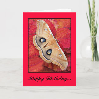 MePrintPolyPhemusa, alles Gute zum Geburtstag… - Karte