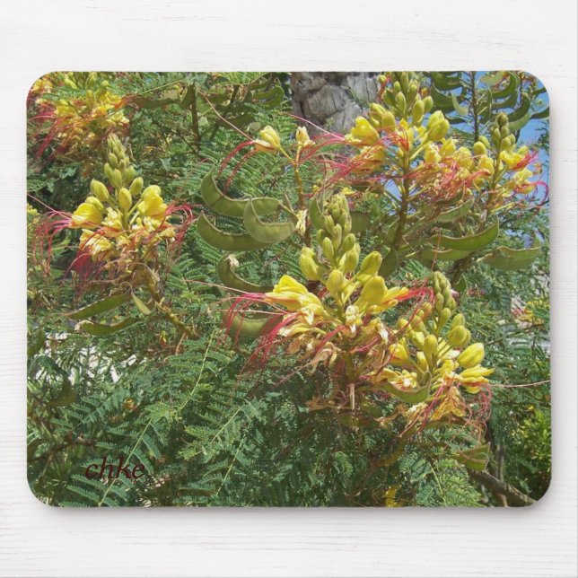 Merak Mousepad (Vorne)