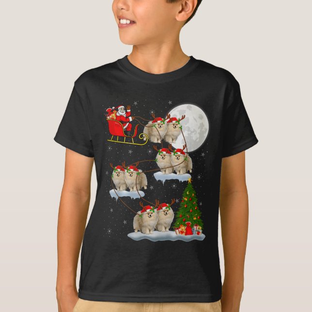 Meranian Dog Santa Sleigh Flying Funny Magical Chr T-Shirt (Vorderseite)