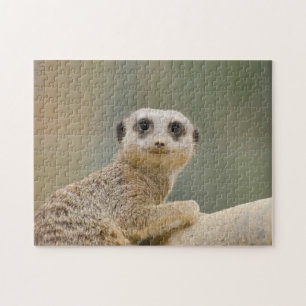 Mercats Africa Puzzle