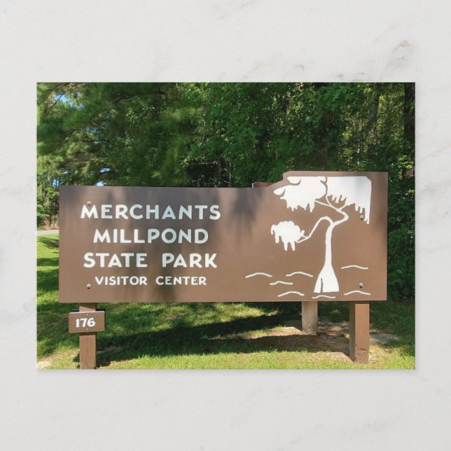 Merchants Millpond Staat Park Postkarte (Vorderseite)