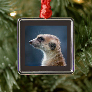Mercurial Meerkat Ornament Aus Metall
