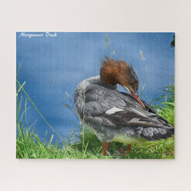 Merganser Duck Puzzle (Horizontal)