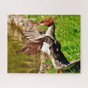 Merganser Duck Puzzle