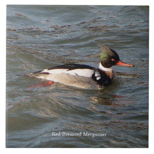 Merganser-Kachel Fliese