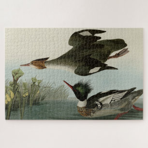 Merganser, Rotbrüste, Audubons Vögel von Amerika Puzzle