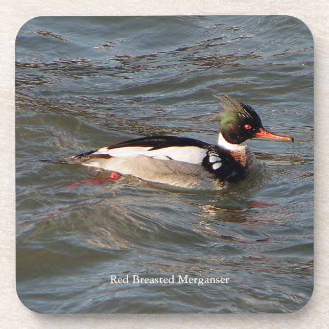 Merganser Untersetzer (Vorderseite)