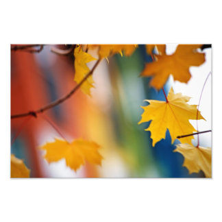 Meridian Fall. Fotodruck