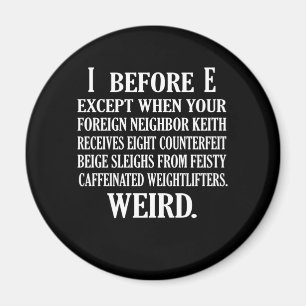 Merkwürdige Englischlehrerin Grammar Teach Magnet