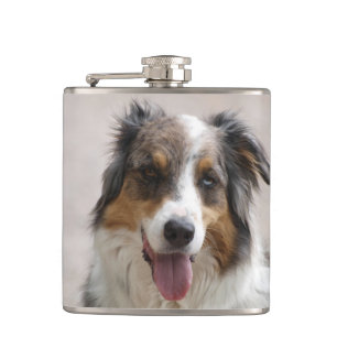 merle aussie flachmann