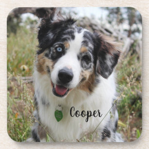 Merle Australian Shepherd Puppy Getränkeuntersetzer