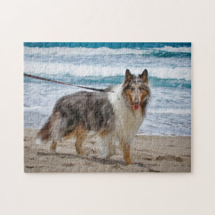 Merle Collie am Strand Puzzle
