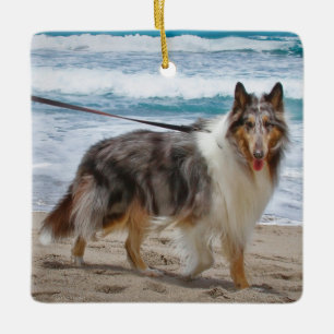 Merle Collie Dog am Strand Keramikornament