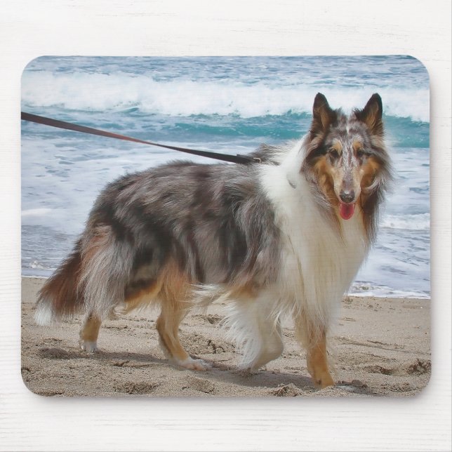 Merle Collie Dog am Strand Mousepad (Vorne)