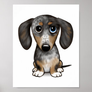 Merle Dapple Dackel Niedliche Dackel Dog Poster