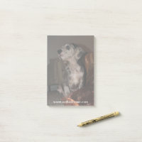 Merle Deutsche Dogge