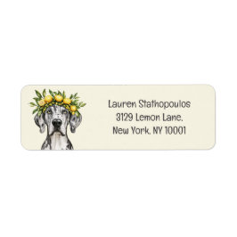 Merle Great Dane Dog Lemon Crown