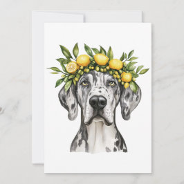 Merle Great Dane Dog Lemon Crown Karte
