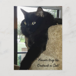 Merlin, das Cat-Zitat Postkarte