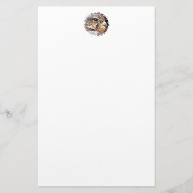 MERLIN FALCON BIRD OF PREY BRIEFPAPIER (Vorderseite)