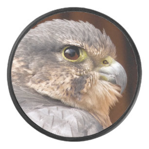 MERLIN FALCON BIRD OF PREY EISHOCKEY PUCK