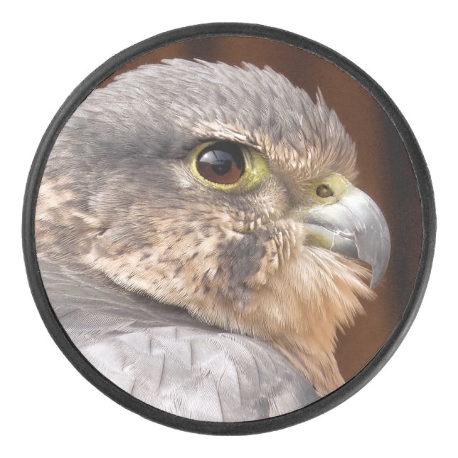 MERLIN FALCON BIRD OF PREY EISHOCKEY PUCK (Vorderseite)