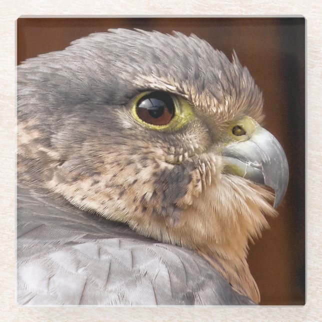 MERLIN FALCON BIRD OF PREY GLASUNTERSETZER (Vorderseite)