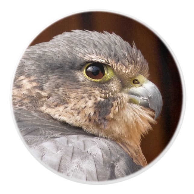 MERLIN FALCON BIRD OF PREY KERAMIKKNAUF (Vorderseite)