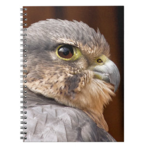 MERLIN FALCON BIRD OF PREY NOTIZBLOCK