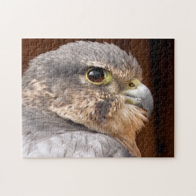 MERLIN FALCON BIRD OF PREY PUZZLE (Horizontal)