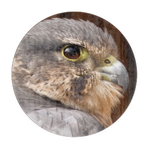 MERLIN FALCON BIRD OF PREY SCHNEIDEBRETT