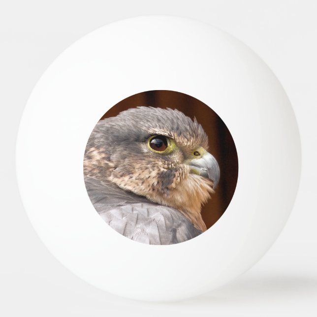MERLIN FALCON BIRD OF PREY TISCHTENNISBALL (Vorderseite)