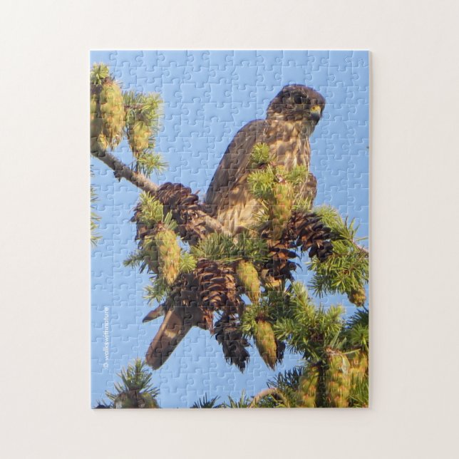 Merlin Falcon in der Pine Tree Puzzle (Vertikal)
