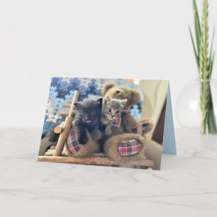 Merlin & Guinevere - Katzen- / Kätzchen-Geburtstag Karte