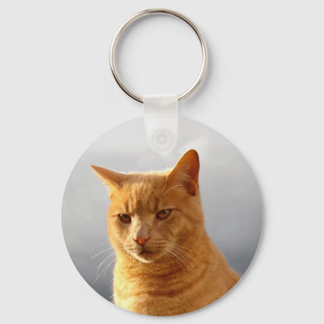 Merlin, Ingwerkatze Schlüsselanhänger (Vorderseite)