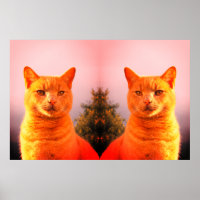 Merlin und Engel-Zwillinge-Katzen-Poster