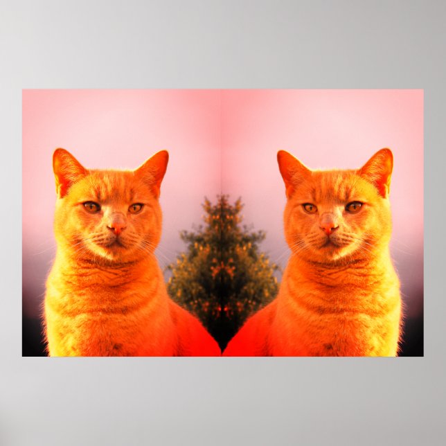 Merlin und Engel-Zwillinge-Katzen-Poster Poster (Vorne)