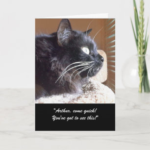 Merlins View Story Grußkarte Karte