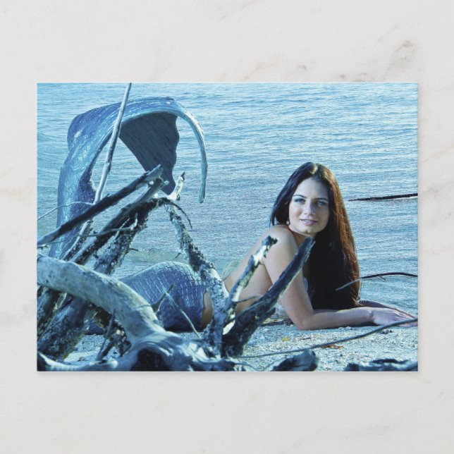 Mermaid Postcard Postkarte (Vorderseite)