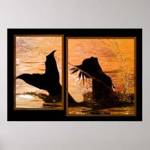 Mermaid Print Poster