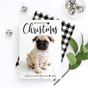 Merriest Christmas Black Buffalo Plaid Pet Photo Feiertagskarte