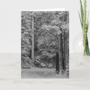 Merry Adventures Feiertagskarte