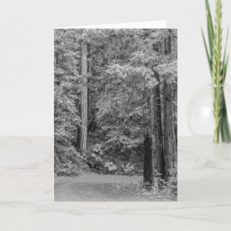 Merry Adventures Feiertagskarte