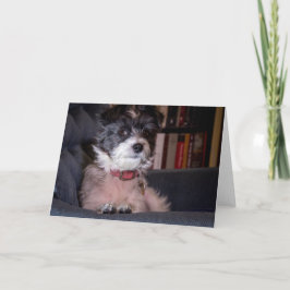 Merry Anna der Papijack Dog Karte