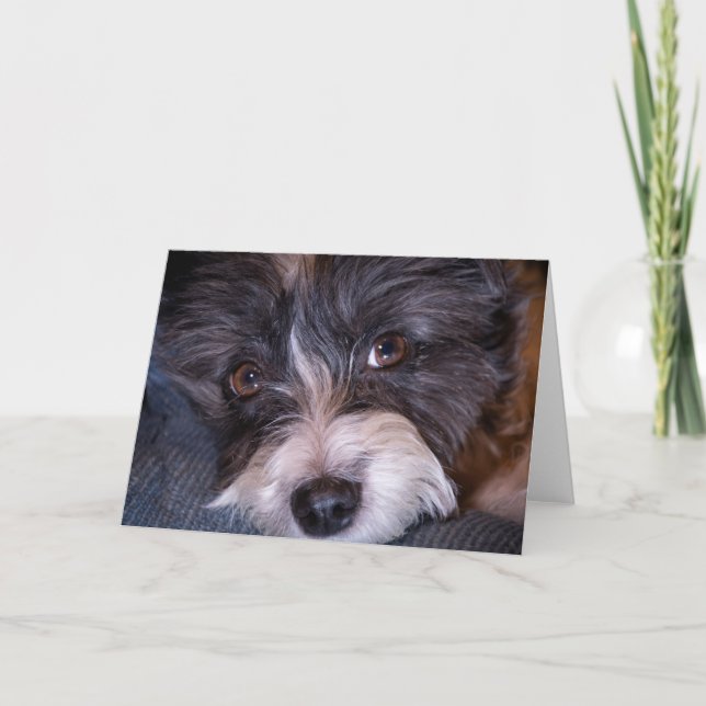 Merry Anna der Papijack Dog Karte (Vorderseite)