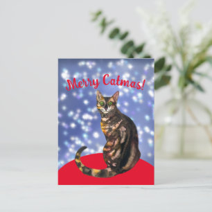 Merry Catmas, bengalische Katzenpostkarte Postkarte