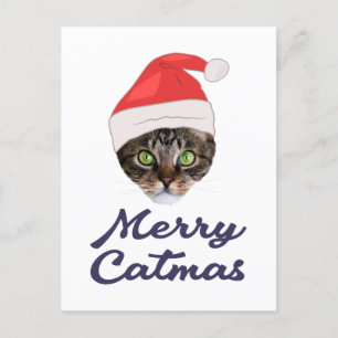 Merry Catmas, Christmas Cat Santa hat Invitation Postkarte