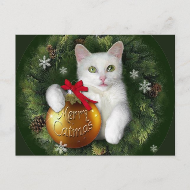 Merry Catmas Feiertagspostkarte (Vorderseite)
