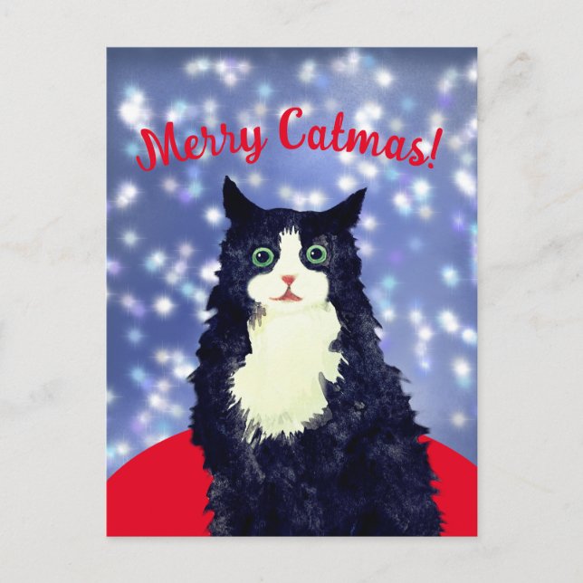 Merry Catmas Postkarte (Vorderseite)