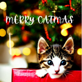 Merry Catmas Purffect Weihnachtskarte Feiertagskarte